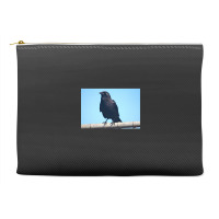 Curiosity And The Crow Accessory Pouches | Artistshot