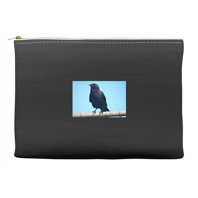 Curiosity And The Crow Accessory Pouches | Artistshot