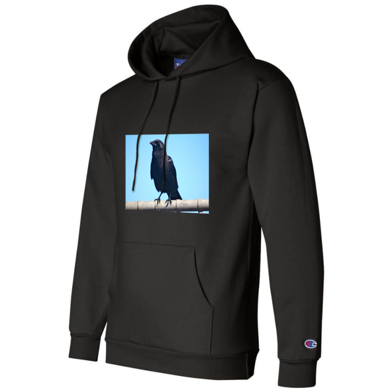 Curiosity And The Crow Champion Hoodie | Artistshot