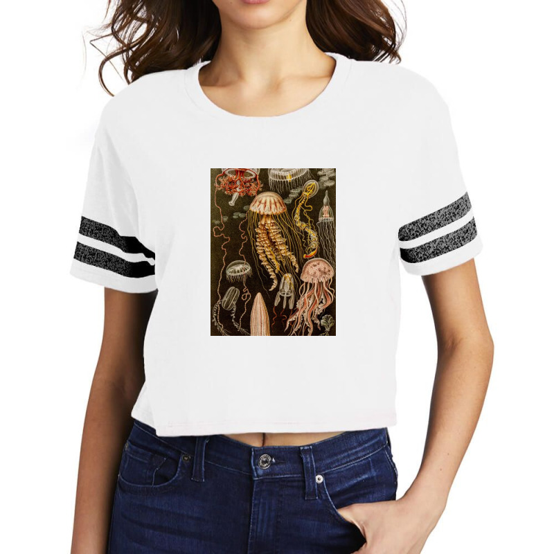 Jellyfish Antique Jelly Fish Scorecard Crop Tee by gloriahill | Artistshot