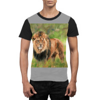 Lion Poster Travel Graphic T-shirt | Artistshot