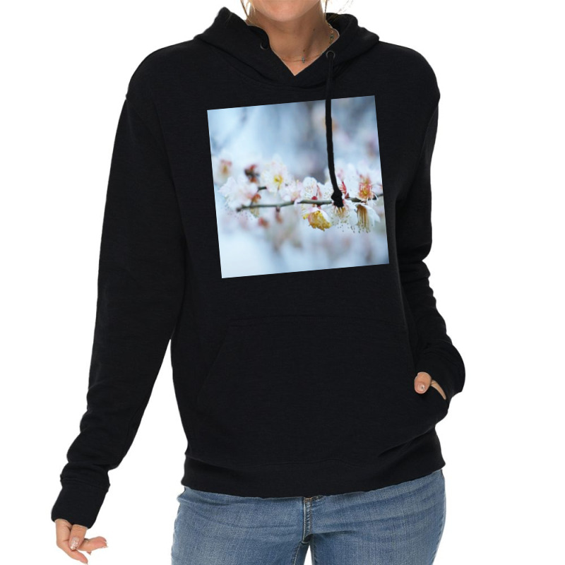 Magnolia Blossom  Funny Lightweight Hoodie | Artistshot