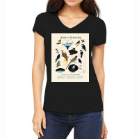 Birds Of Paradise, 2018 Women's V-neck T-shirt | Artistshot