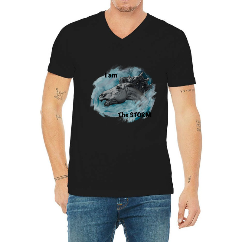 Limited Edition I Am The Storm! V-neck Tee | Artistshot