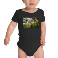 Granite Belt Flowers On 35mm Film 2 Baby Bodysuit | Artistshot