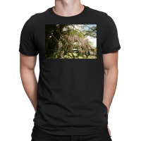 Granite Belt On 35mm Film T-shirt | Artistshot