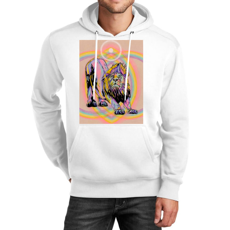 Look At This Rainbow Lion Poster Red Unisex Hoodie by nduettstruiki | Artistshot