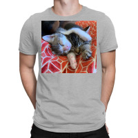 Kitten Snuggle Session Poster Girl T-shirt | Artistshot