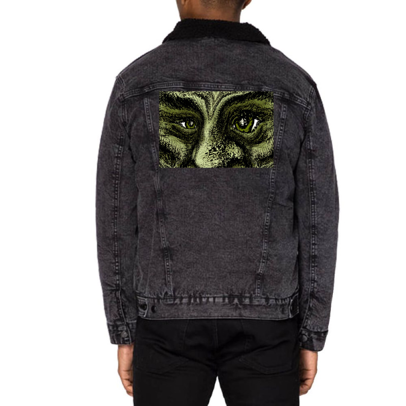 The Green Face Reloaded Unisex Sherpa-lined Denim Jacket | Artistshot