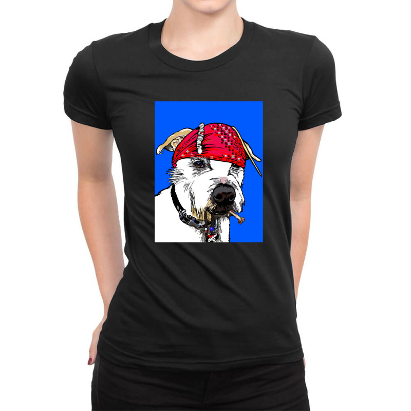 Pirates Of The Pandemic Ladies Fitted T-shirt | Artistshot