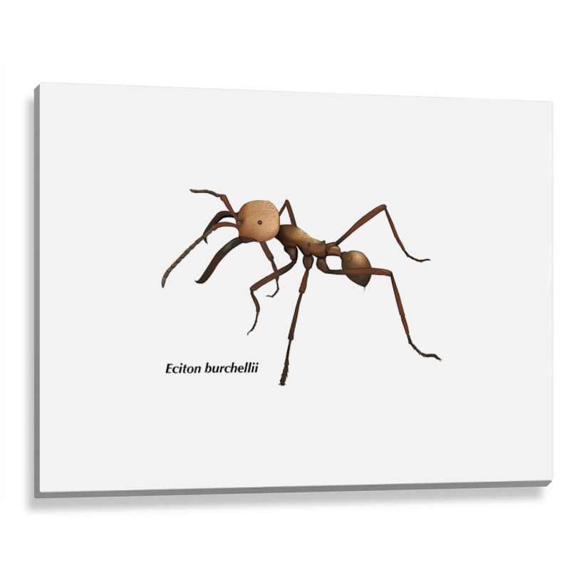 Soldier Ant T Shirt Metal Print Horizontal | Artistshot