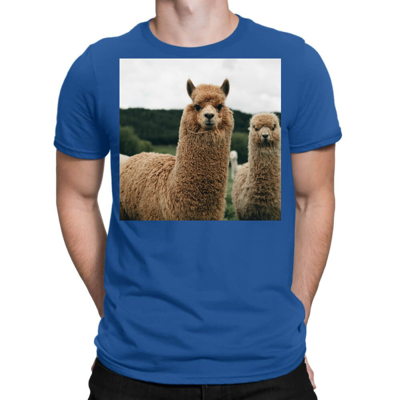 Cute Alpaca Poster 70s T-shirt | Artistshot