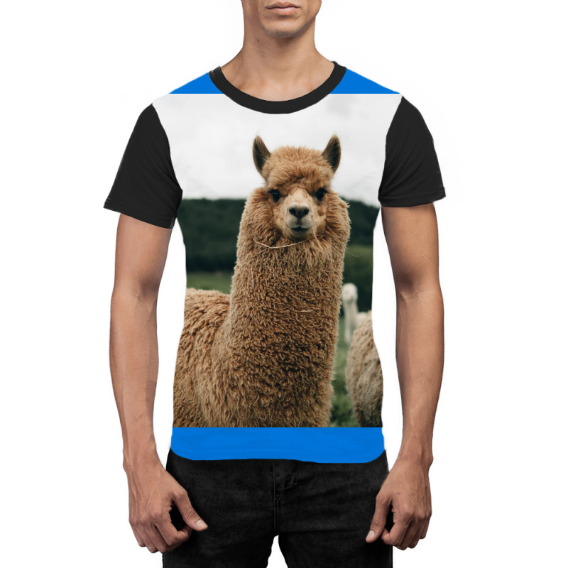 Cute Alpaca Poster 70s Graphic T-shirt | Artistshot