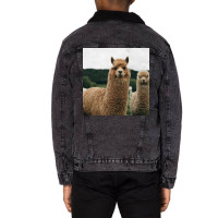 Cute Alpaca Poster 70s Unisex Sherpa-lined Denim Jacket | Artistshot