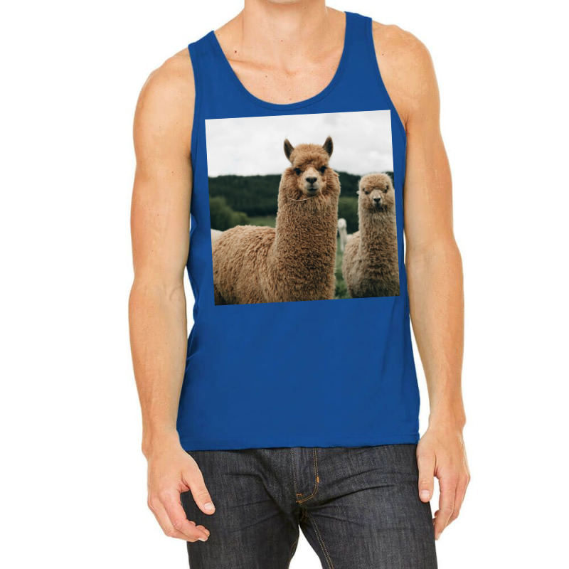 Cute Alpaca Poster 70s Tank Top | Artistshot