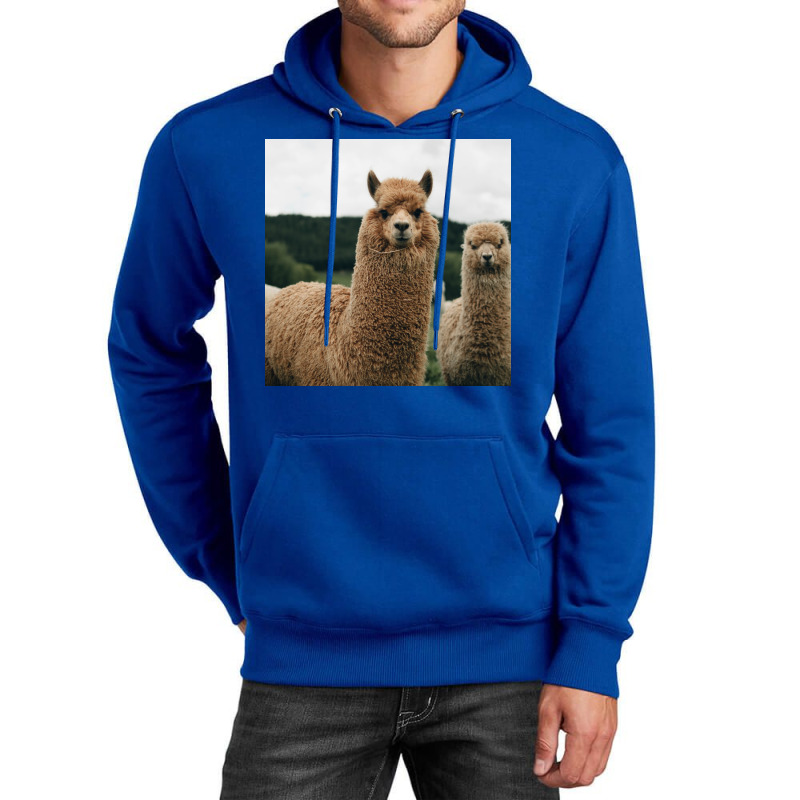 Cute Alpaca Poster 70s Unisex Hoodie | Artistshot