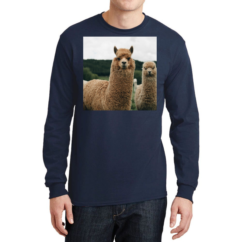 Cute Alpaca Poster 70s Long Sleeve Shirts | Artistshot