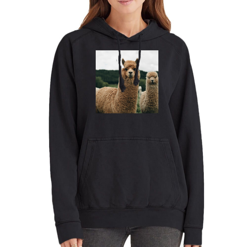 Cute Alpaca Poster 70s Vintage Hoodie | Artistshot