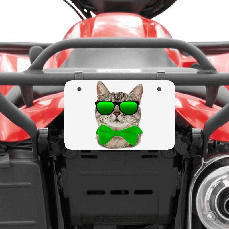 St Patricks Day Irish Cat Atv License Plate | Artistshot