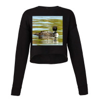 Loon On The Water 1 Cropped Sweater | Artistshot