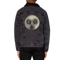 Steven Wilson Raven Unisex Sherpa-lined Denim Jacket | Artistshot