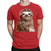 Little Sloth Kids Pullover E T-shirt | Artistshot