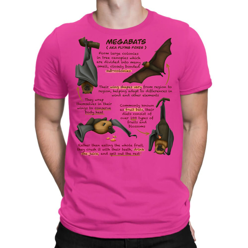 Megabat Fun Animal Fruit Bat Facts Kids Pullover Stars T-Shirt by nanedohoomae | Artistshot