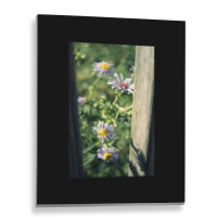 Porch Rail Aster Metal Print Vertical | Artistshot