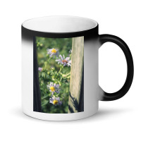 Porch Rail Aster Magic Mug | Artistshot