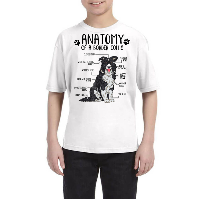 Funny Anatomy Border Collie Dog Lover Gift T Shirt Youth Tee by TeaMenShop | Artistshot