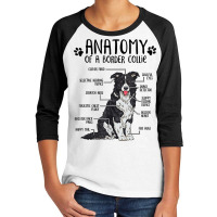 Funny Anatomy Border Collie Dog Lover Gift T Shirt Youth 3/4 Sleeve | Artistshot