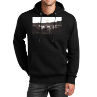 Foxing  Album Artwork Unisex Hoodie | Artistshot