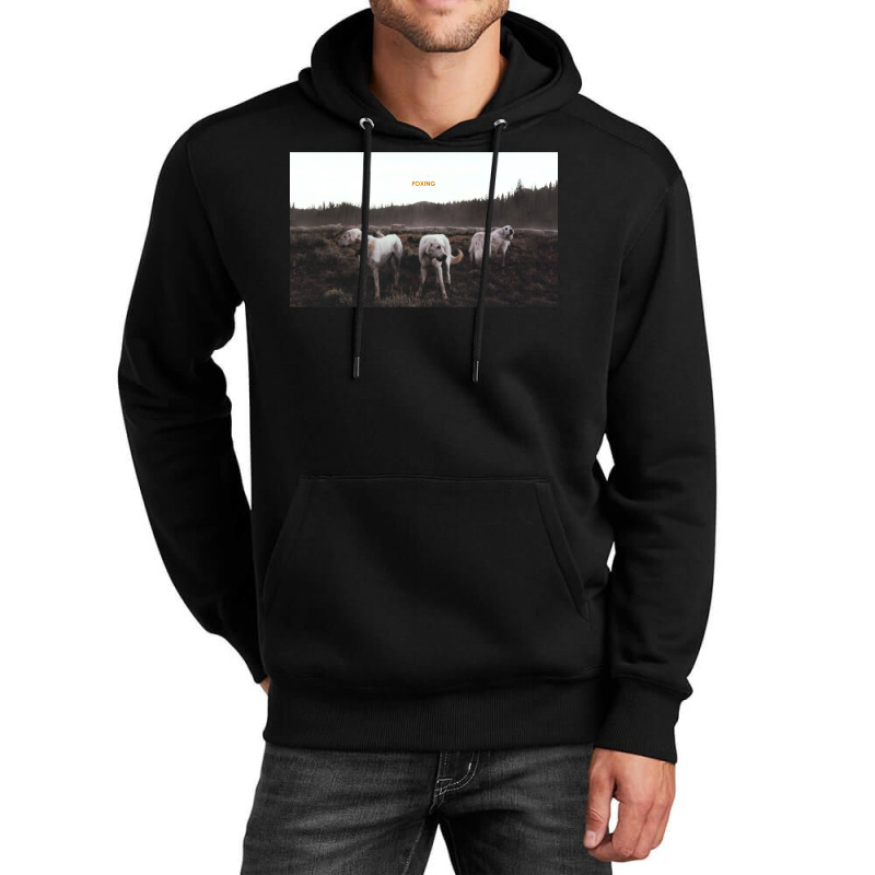 Foxing  Album Artwork Unisex Hoodie by meynyanassg | Artistshot