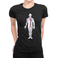 Circulatory System Anatomy Chart Arteries Veins Ladies Fitted T-shirt | Artistshot