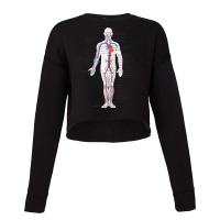 Circulatory System Anatomy Chart Arteries Veins Cropped Sweater | Artistshot