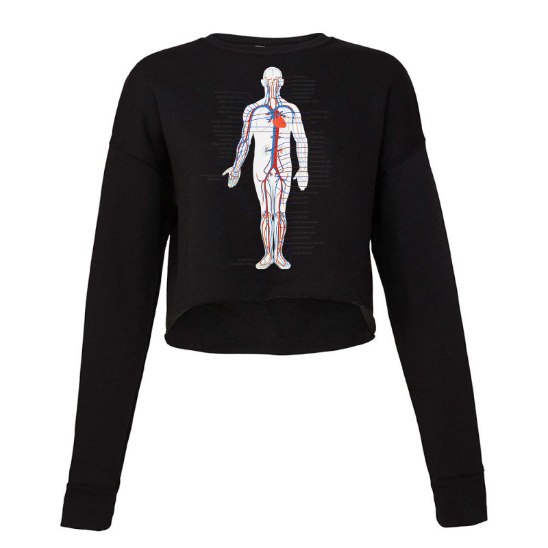 Circulatory System Anatomy Chart Arteries Veins Cropped Sweater by DonnaSchennum1234 | Artistshot