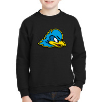 Delaware Blue Hens Youth Sweatshirt | Artistshot