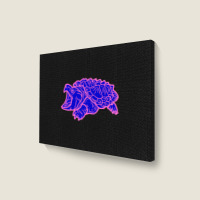 Limited Edition Alligator Snapping Turtle - Reptile - Wildlife - Cute Landscape Canvas Print | Artistshot