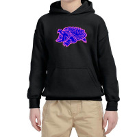 Limited Edition Alligator Snapping Turtle - Reptile - Wildlife - Cute Youth Hoodie | Artistshot