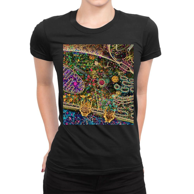 Human Cell Detailed Ladies Fitted T-Shirt by diehlgwend | Artistshot