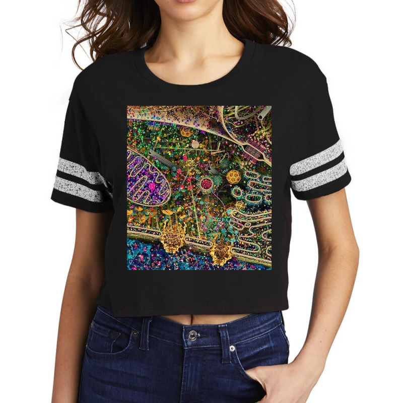 Human Cell Detailed Scorecard Crop Tee by diehlgwend | Artistshot