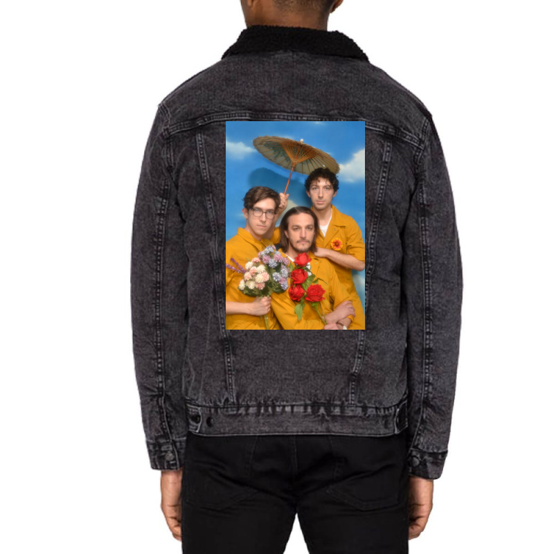 The Honeysticks Photo Poster Green Unisex Sherpa-lined Denim Jacket | Artistshot