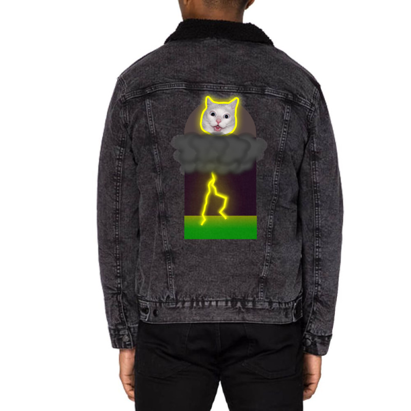 Cat Lightning Memet Unisex Sherpa-Lined Denim Jacket by CAMMIGRAHAM | Artistshot