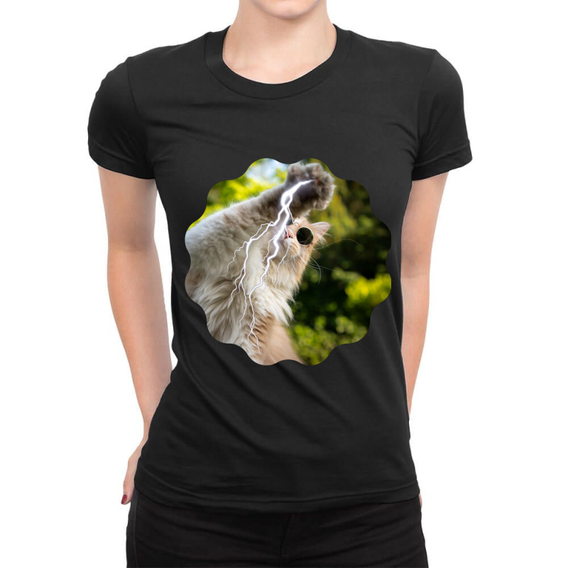 Cat Lightning Of A Cute Persian Cat With White Lightning Paws  Cat Art Ladies Fitted T-Shirt by CAMMIGRAHAM | Artistshot