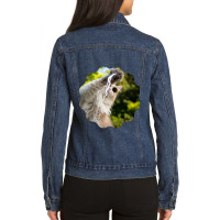 Cat Lightning Of A Cute Persian Cat With White Lightning Paws  Cat Art Ladies Denim Jacket | Artistshot