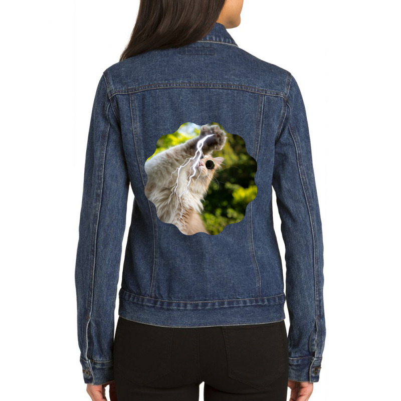 Cat Lightning Of A Cute Persian Cat With White Lightning Paws  Cat Art Ladies Denim Jacket by CAMMIGRAHAM | Artistshot