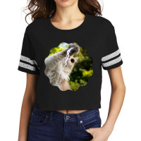 Cat Lightning Of A Cute Persian Cat With White Lightning Paws  Cat Art Scorecard Crop Tee | Artistshot