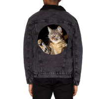 Cat Lightning Of A Cute Tabby Cat With White Lightning  Cat Art Gifts  Unisex Sherpa-lined Denim Jacket | Artistshot