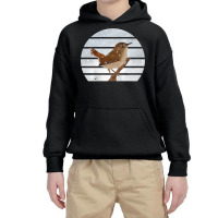 Wren Bird Snow Birdlover Birdwatcher Animal Biologist Premium Youth Hoodie | Artistshot