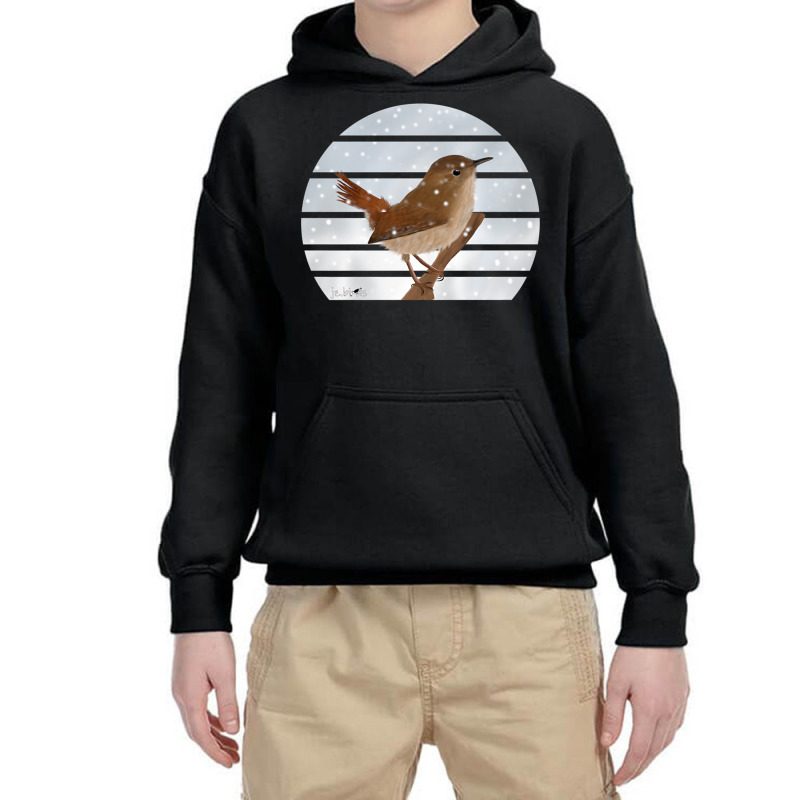 Wren Bird Snow Birdlover Birdwatcher Animal Biologist Premium Youth Hoodie by JosephWDaniels | Artistshot